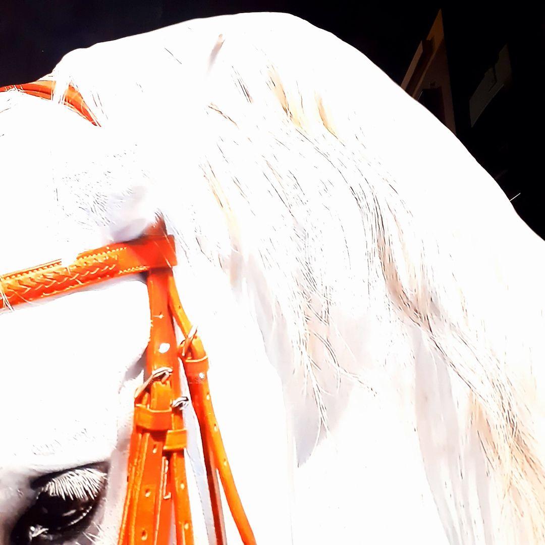 輸入雑貨　絵画　強化ガラス　硝子アート　『白馬』　特大ガラスアート　200cm越