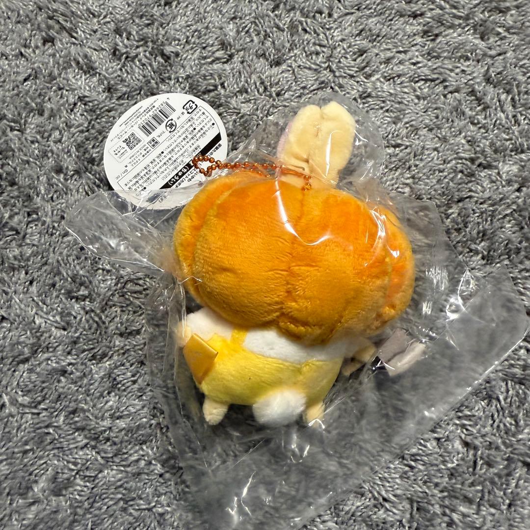 かぼちゃなうさぎ　初回