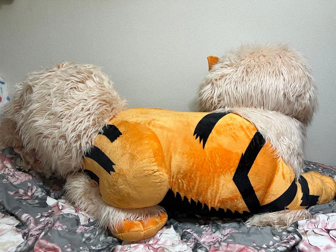 【24時間以内発送】添い寝 ウインディ