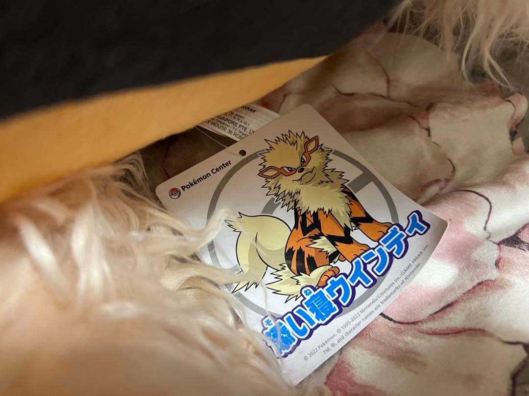 【24時間以内発送】添い寝 ウインディ