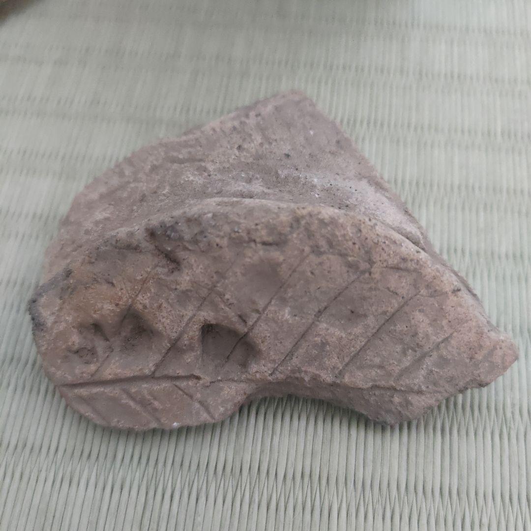 縄文式土器化石　朝日遺跡3点【本物】