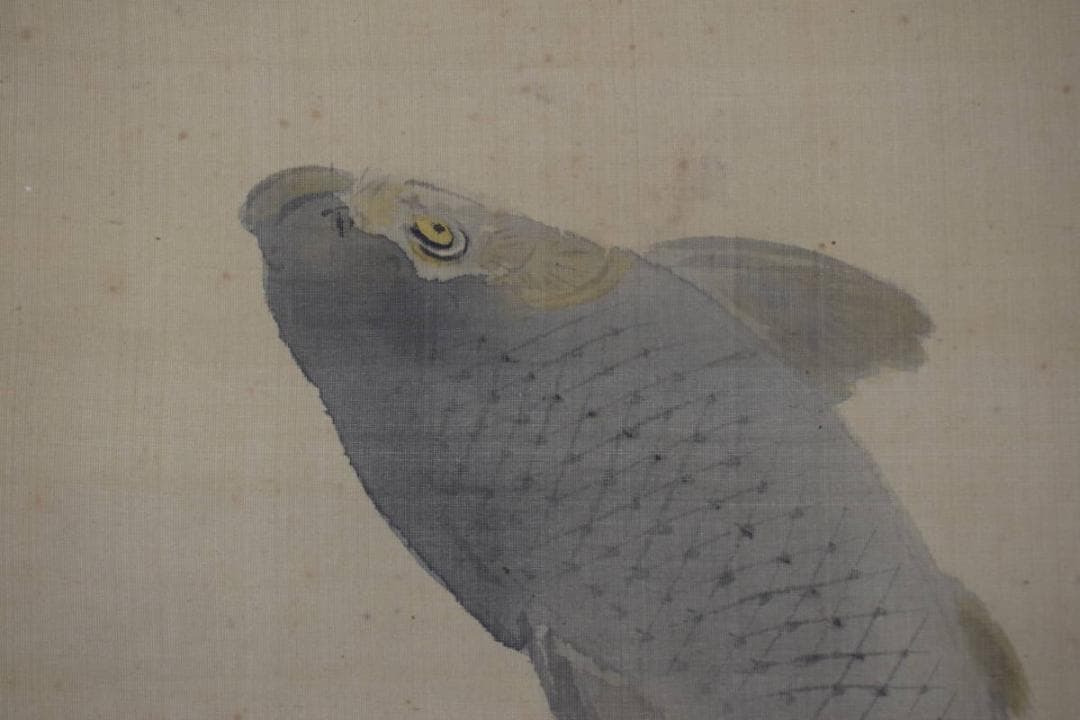 【真作】菊池容斎/鯉滝昇り図/掛軸☆宝船☆Z-546