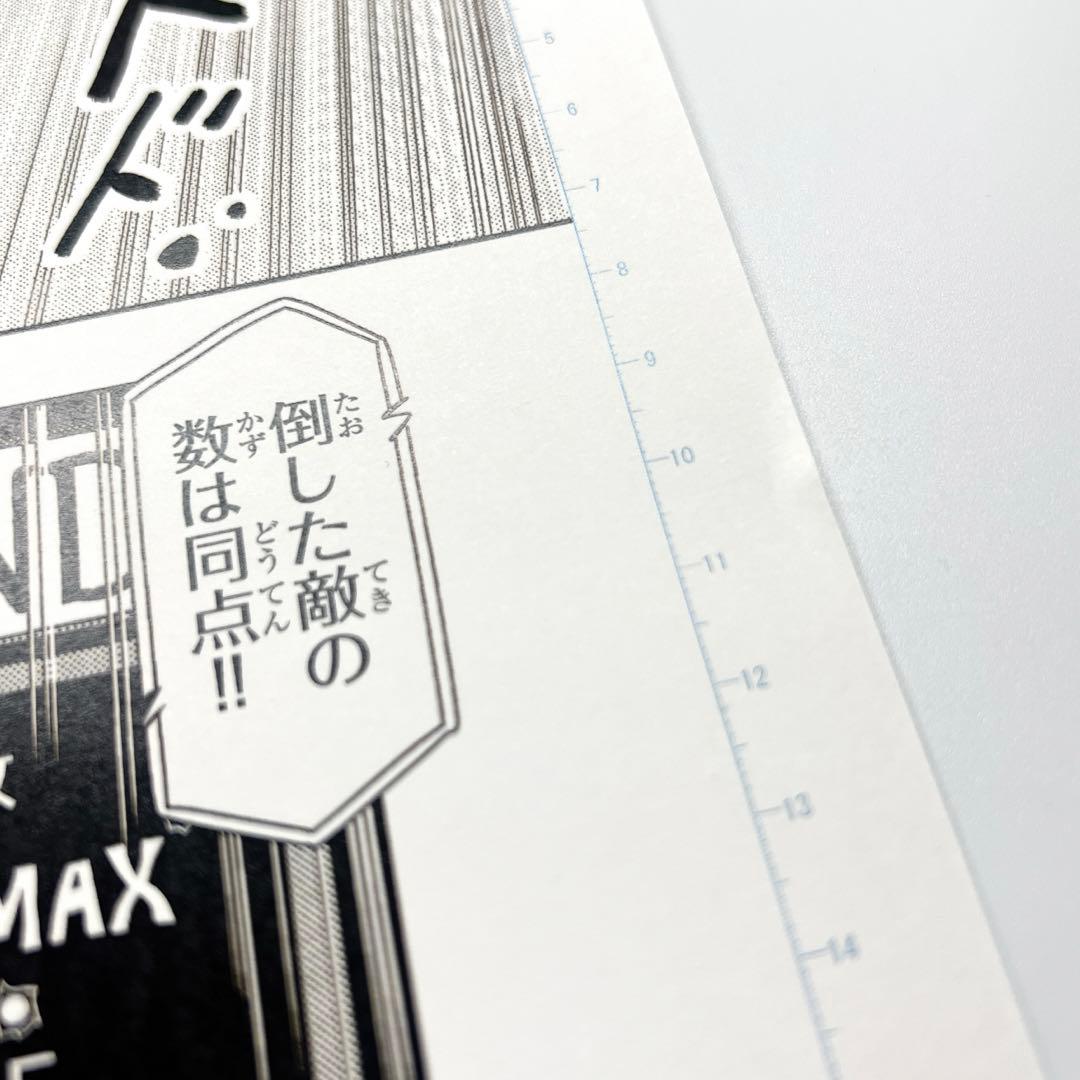 吸血鬼すぐ死ぬ　ロナルド　ドラルク　ジョン　複製原画　封筒つき