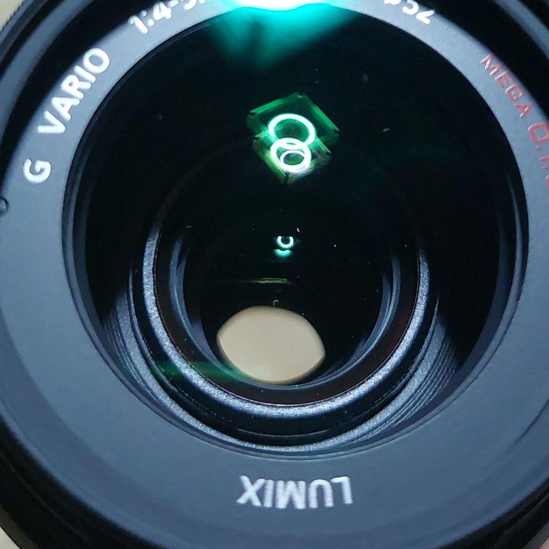 Panasonic LUMIX G VARIO 45-200㎜