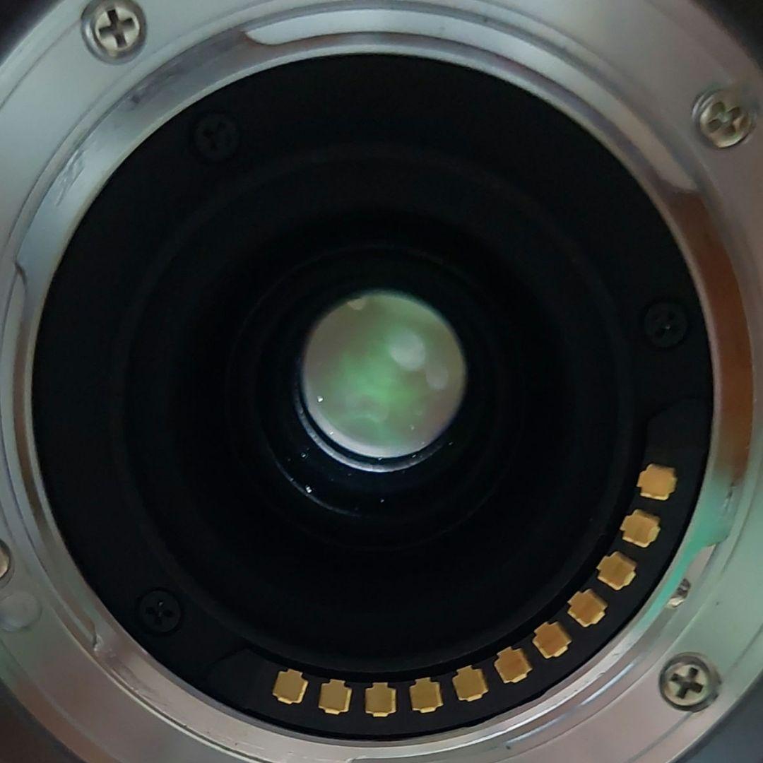 Panasonic LUMIX G VARIO 45-200㎜