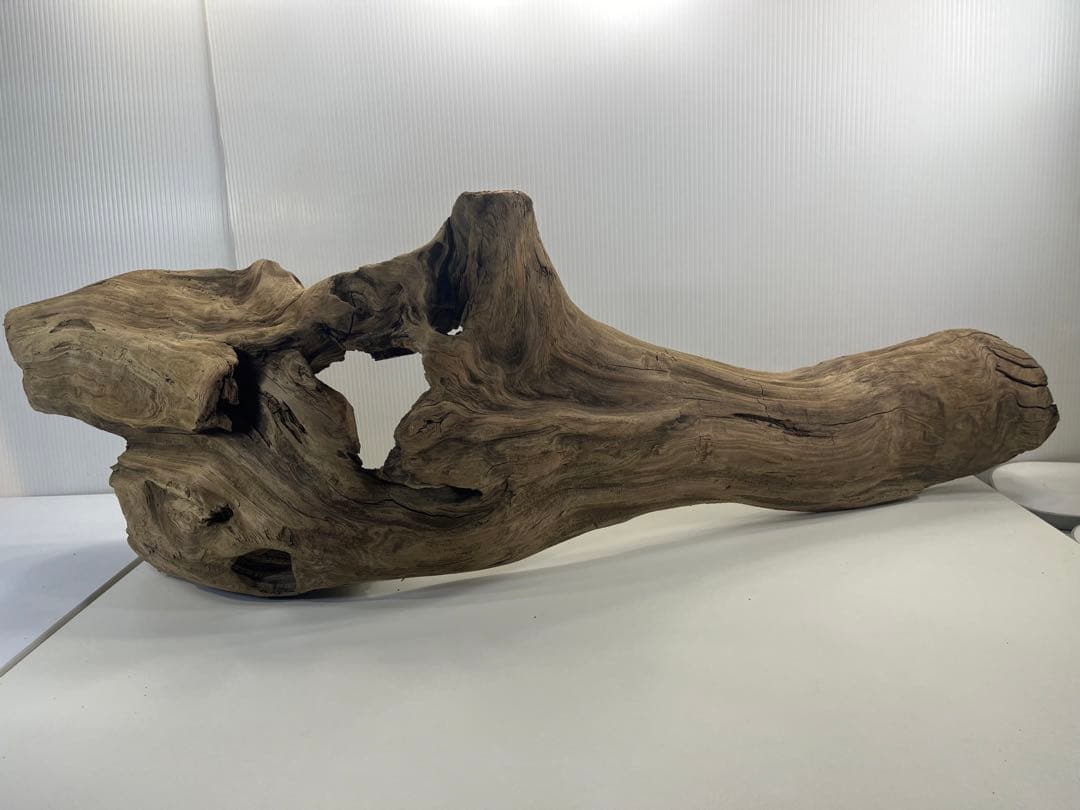 V45特大流木 アク抜き済み流木 爬虫類シェルター 登り木 インテリア 生け花