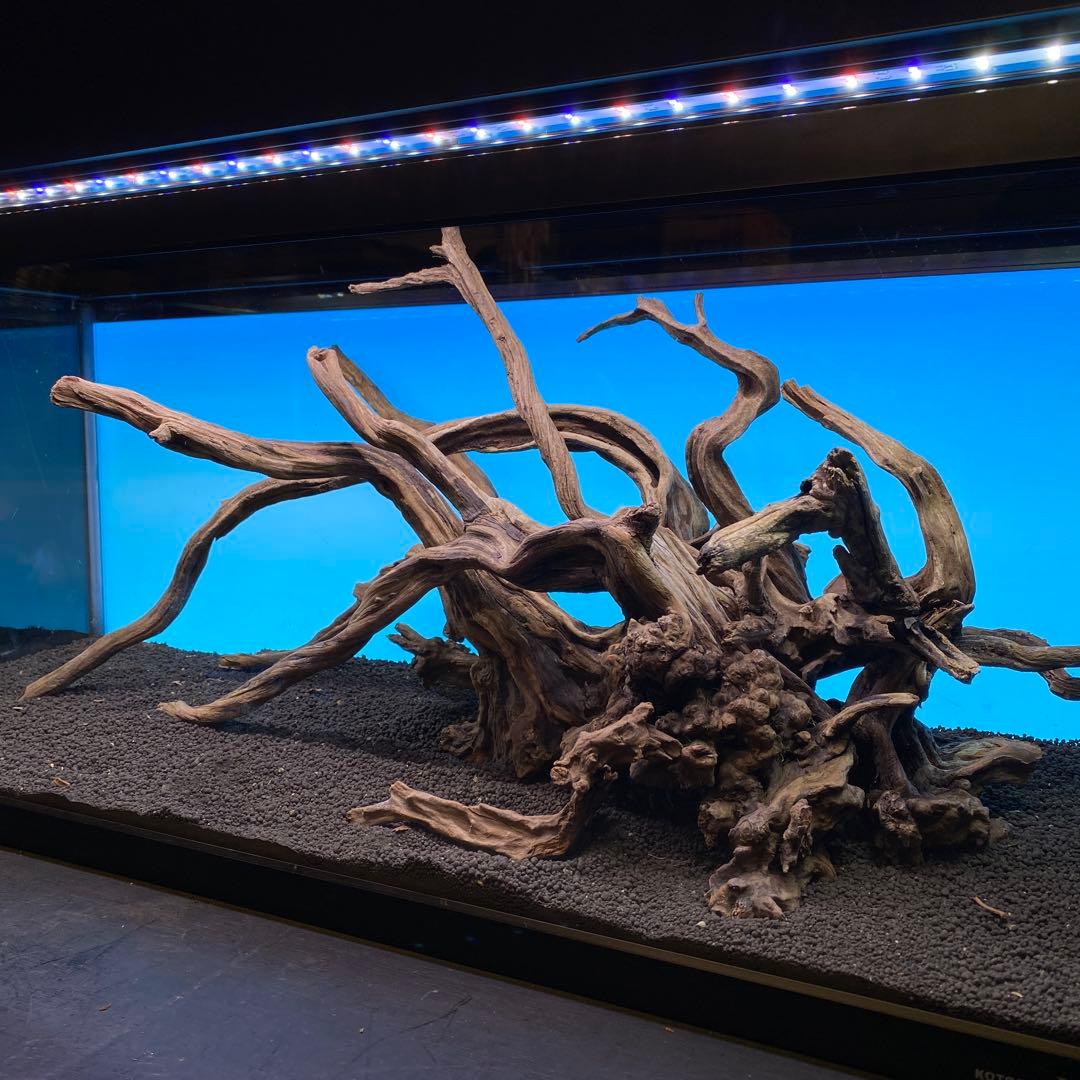 MSRW-6735 天然流木レイアウトセット　スリムウッド　アクアリウム