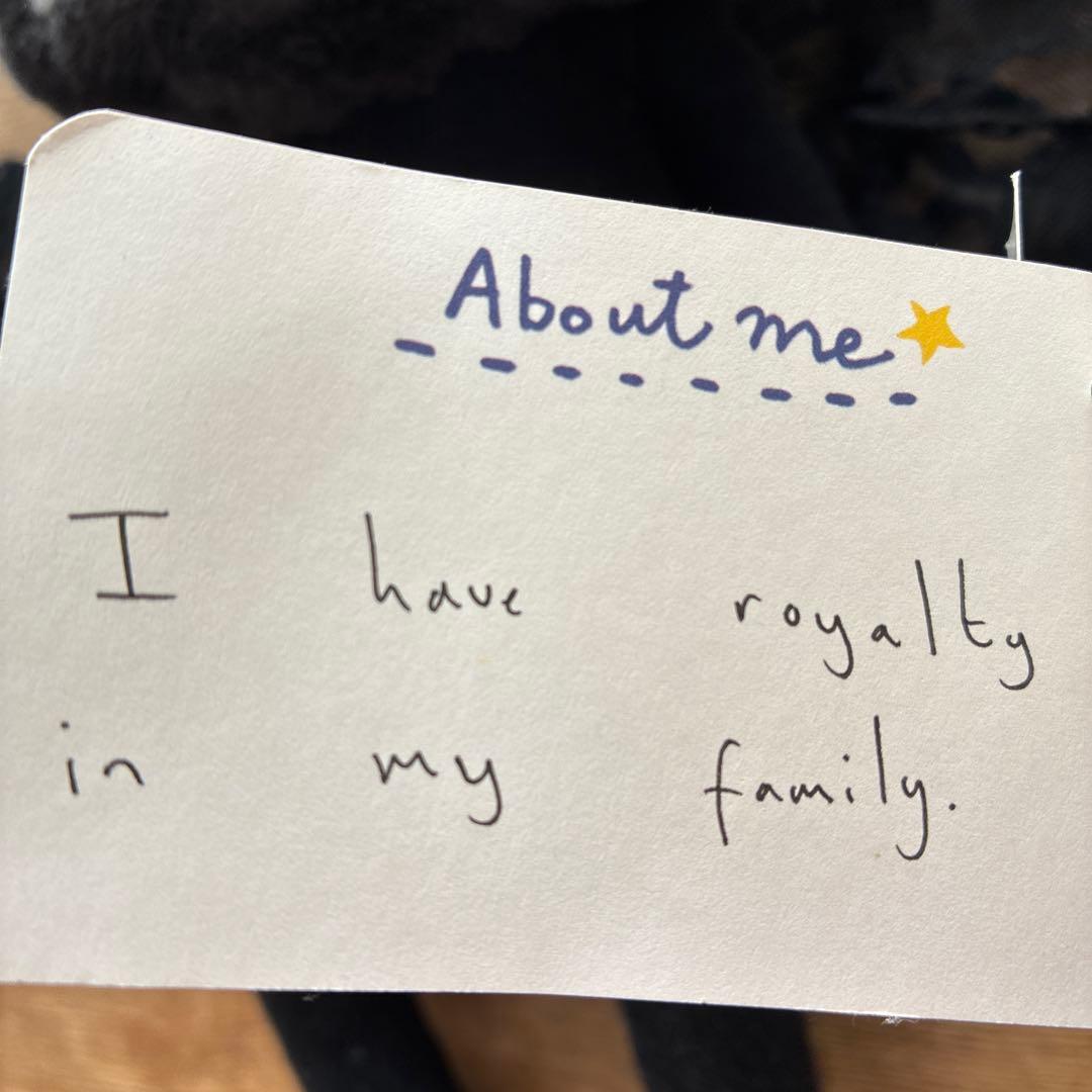 BOBBY DAZZLER ボビーダズラー