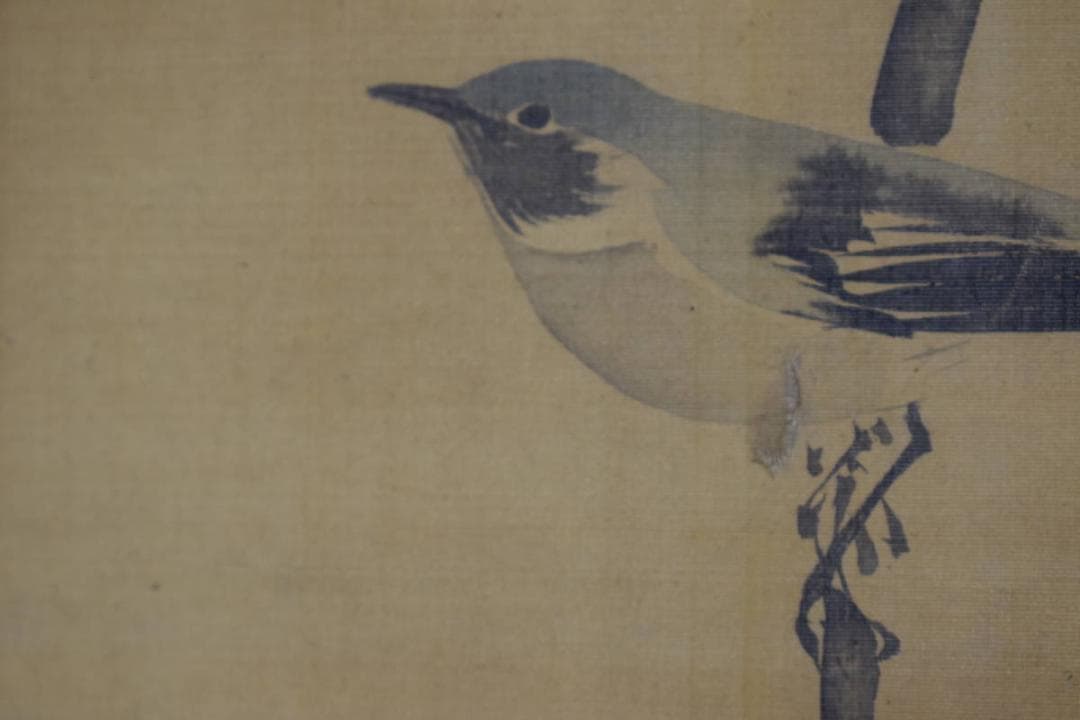 酒井抱一/山桜小禽図/桜に小鳥図/大横物/掛軸☆宝船☆Y-747　JM