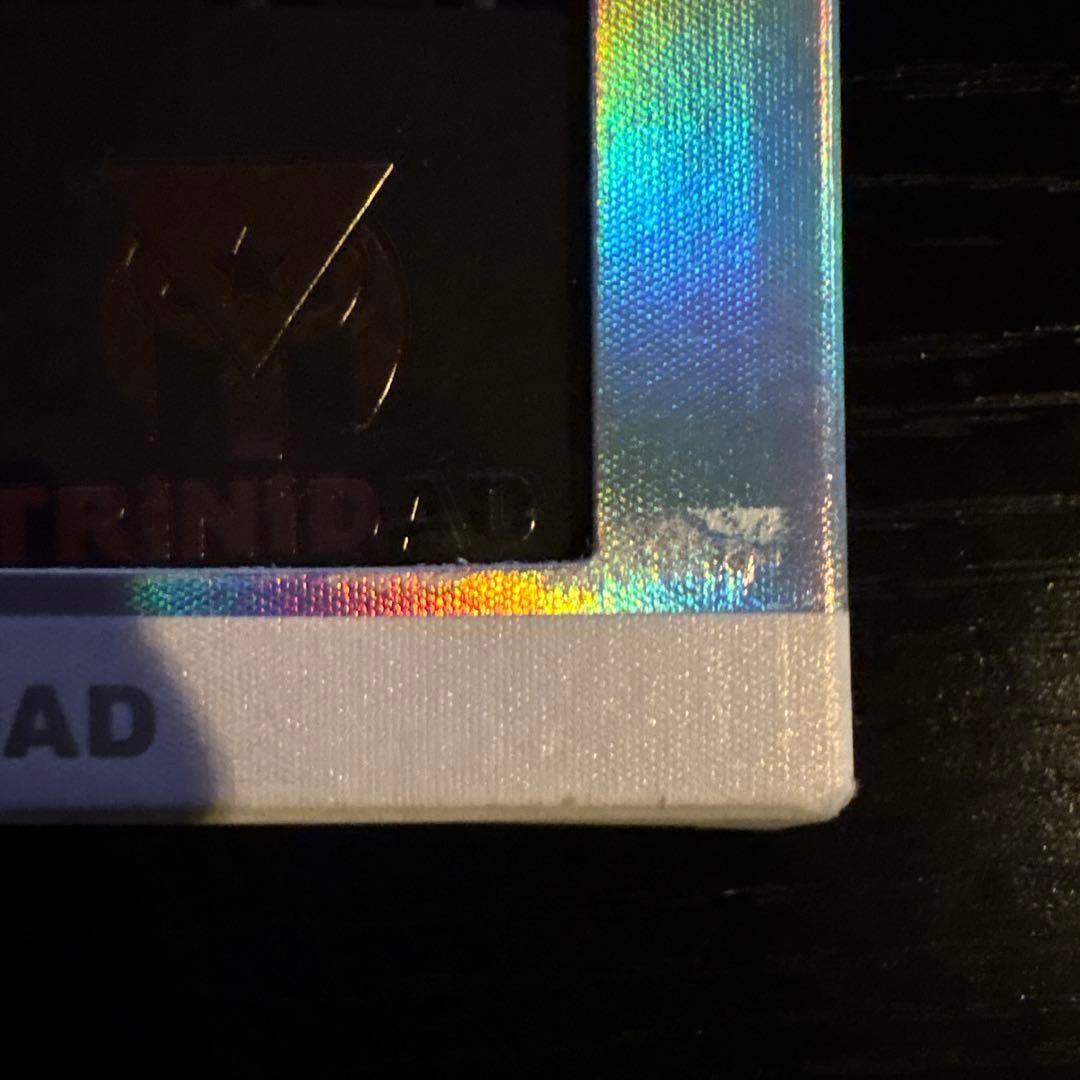 RAYMOND COPANO スチールダーツ 23g