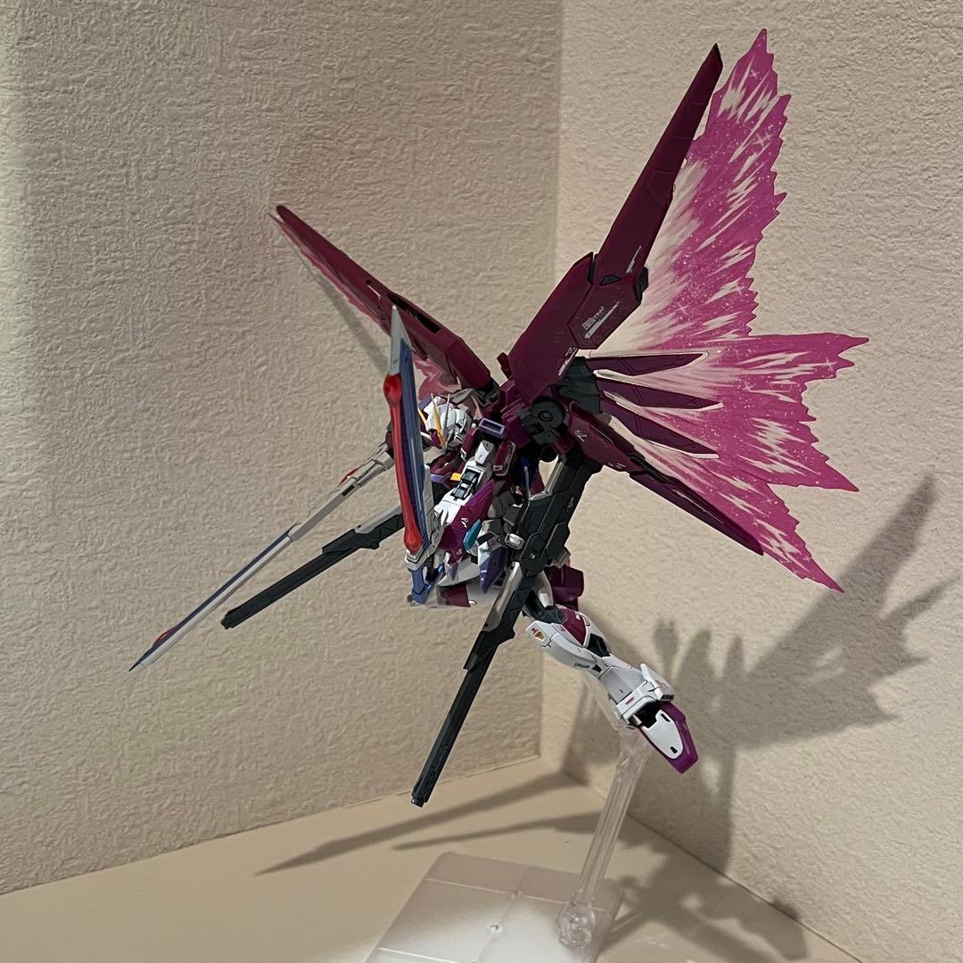 【組立・墨入れ済】RGデスティニーインパルスガンダム＆光の翼（プレバン）