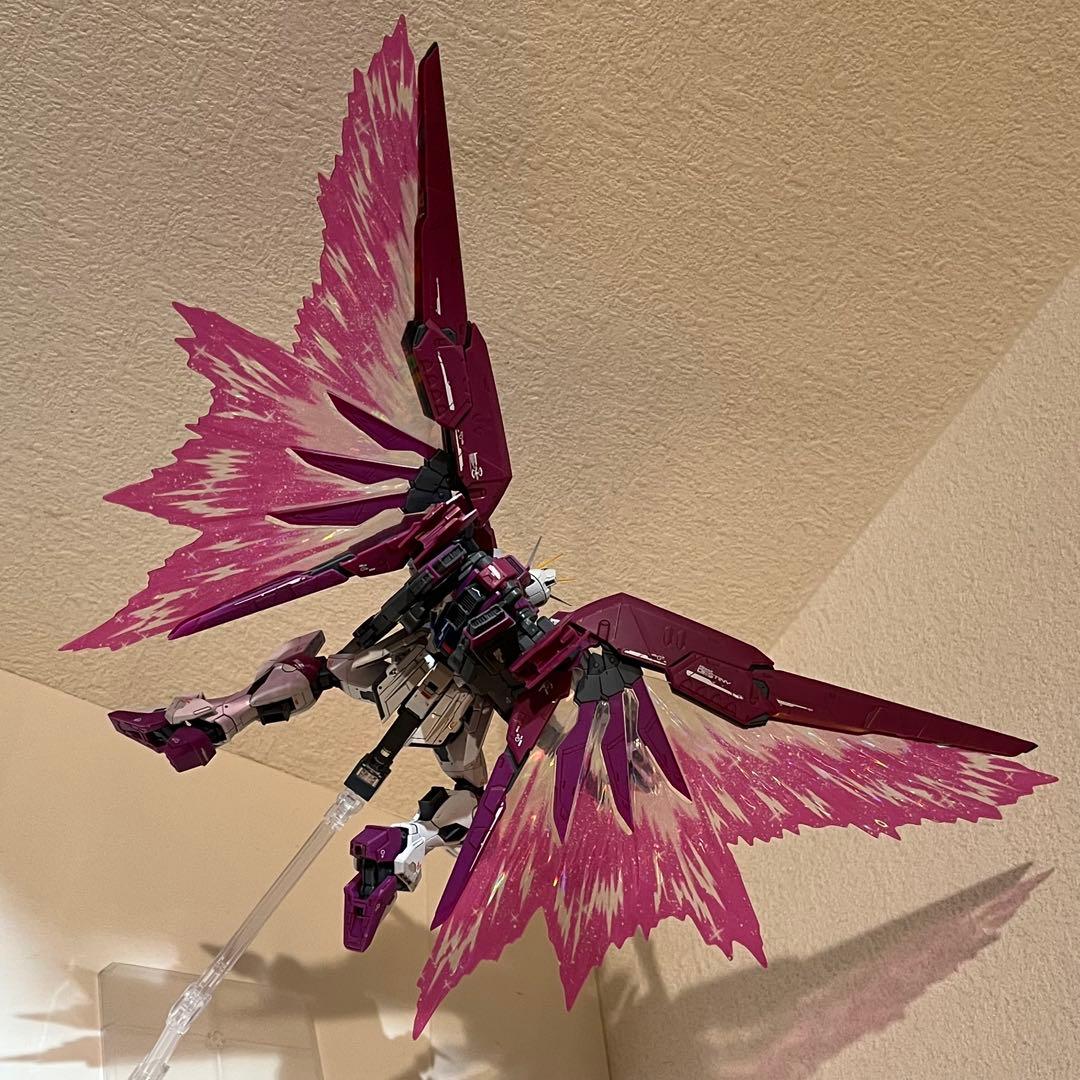 【組立・墨入れ済】RGデスティニーインパルスガンダム＆光の翼（プレバン）