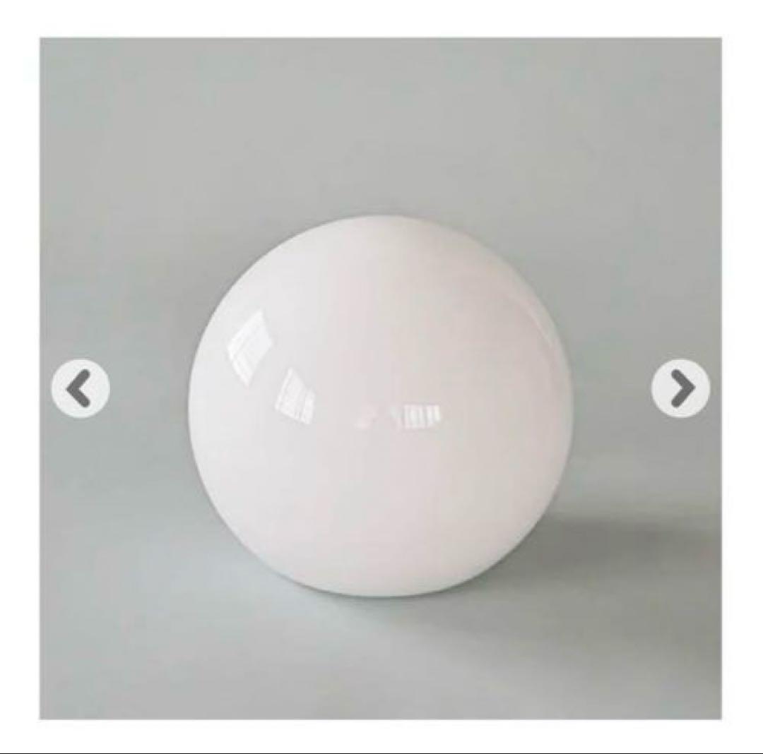 【未開封/新品】LOSKA pendant light S white 照明