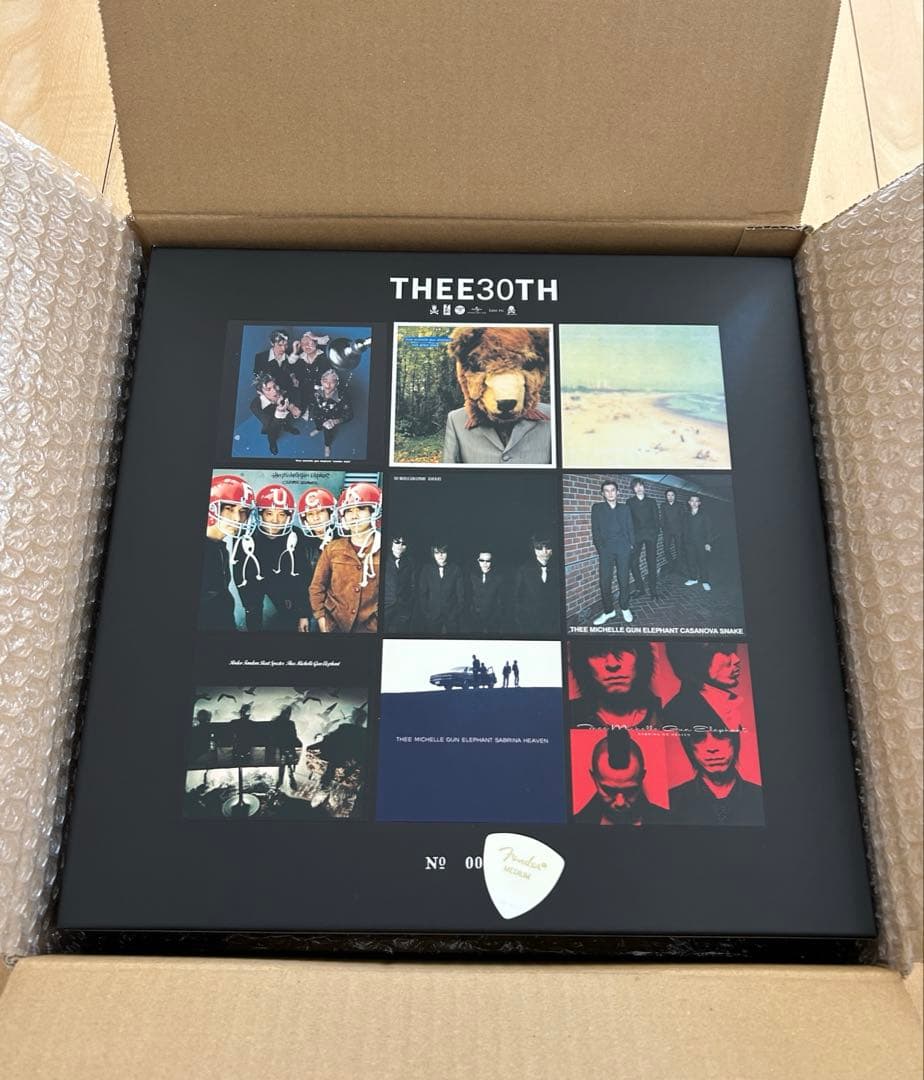 【新品 未使用品】THEE 30TH 500個限定 アナログ収納BOX