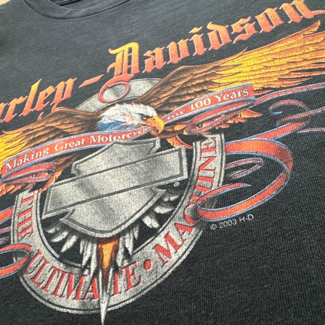 レオナルド　ハーレーダビッドソン イーグル両面 USA製 フェード黒 L