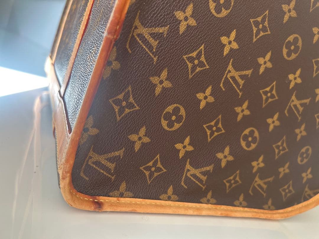 たけのこの里さま専用‼️ 希少　ルイヴィトン　ペットキャリー　 40㎝