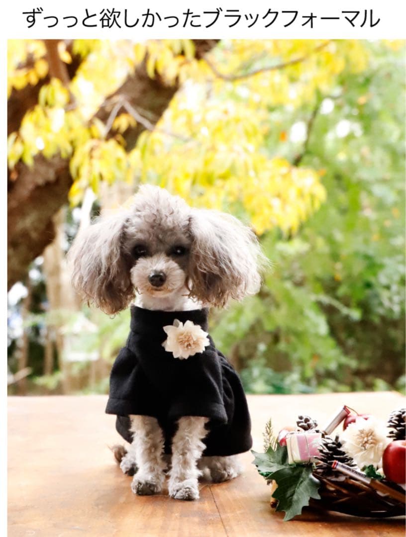 アトリエgg⭐︎ マント・デ・マルシェ⭐︎コート⭐︎カシミヤ⭐︎１ハーフ