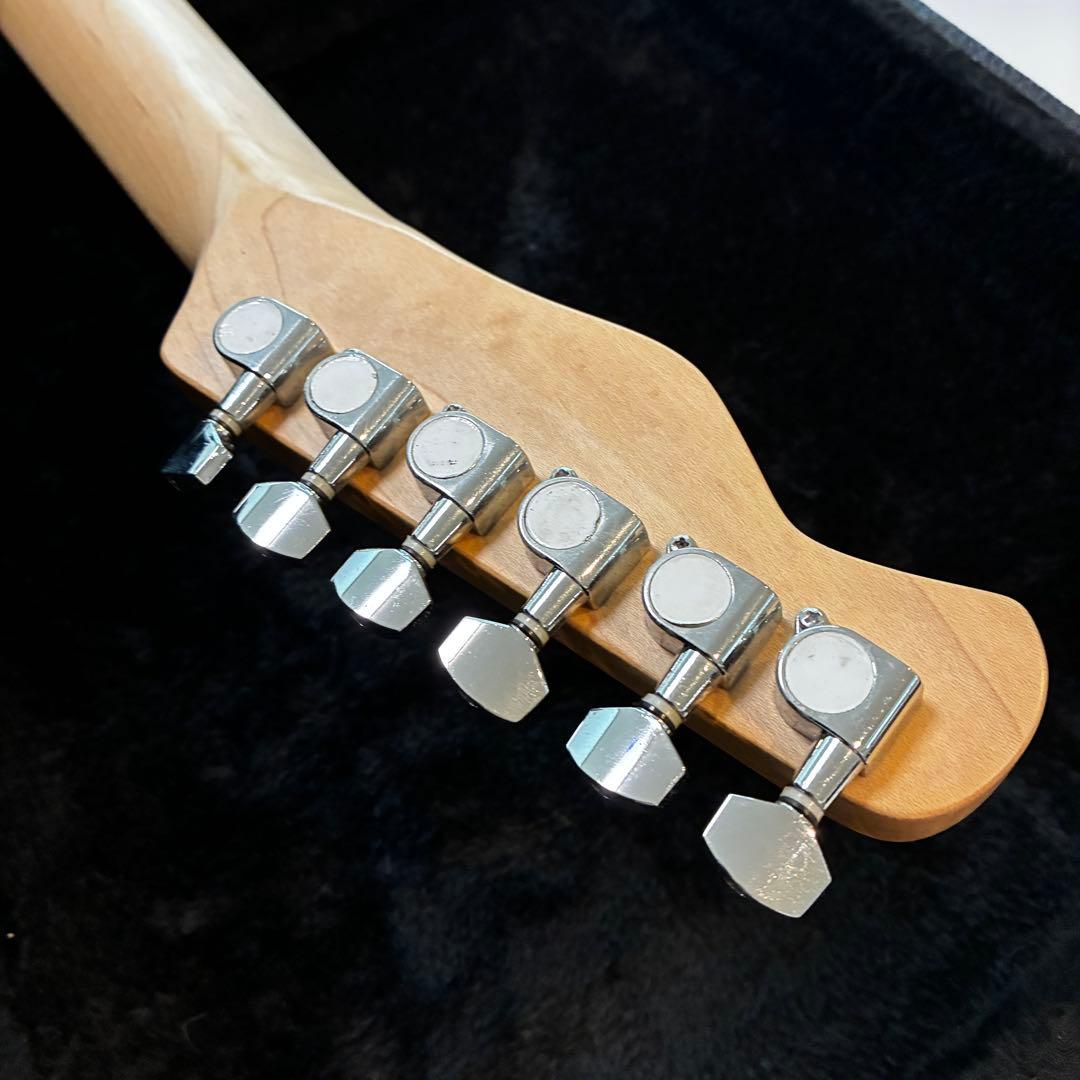 調整済み【状態良好/人気カラー】バッカス　テレキャス　レイクプラシッド