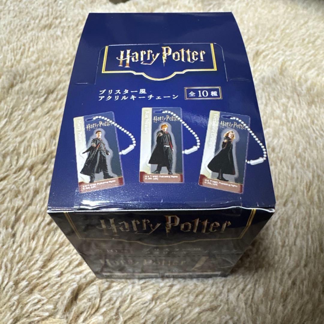 ハリーポッター Harry Potter ブリスター風アクリルキーチェーン