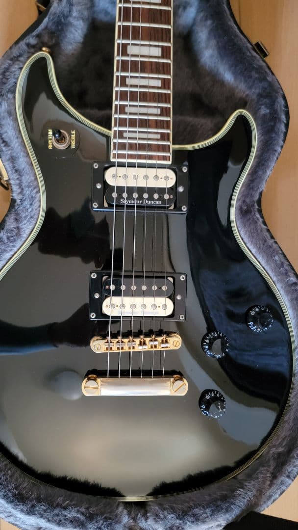 ギター Epiphone Tak Matsumoto DC