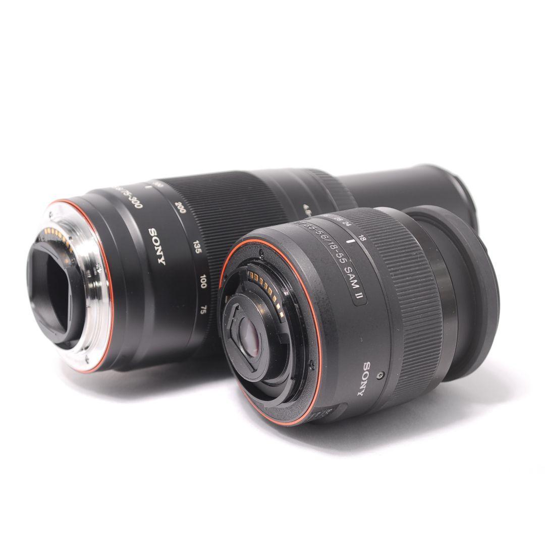 ❤即購入1000円OFF❤ ソニー α65 × 超望遠レンズ ダブルズーム
