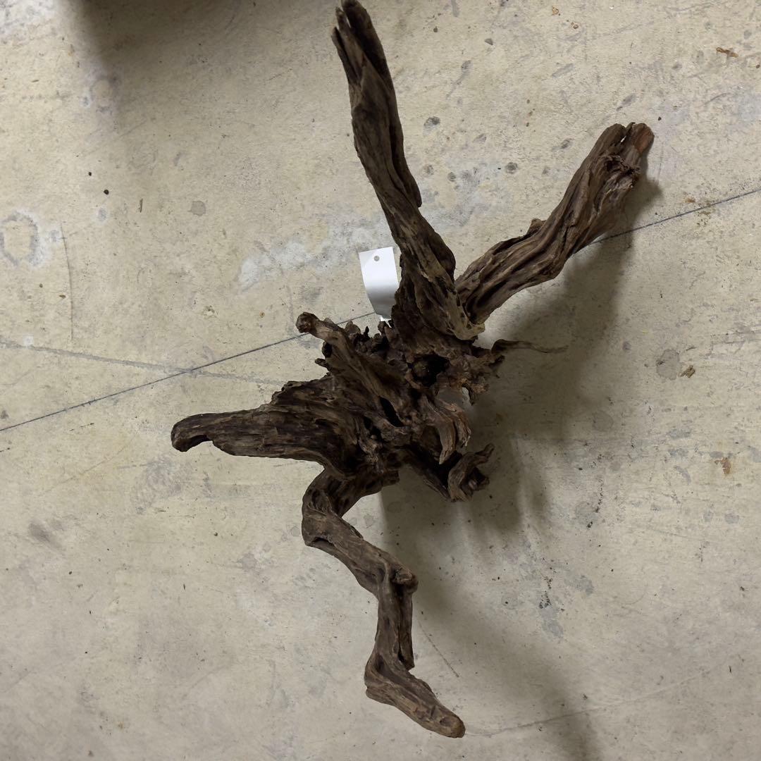 ADA スリムウッド　流木　特大