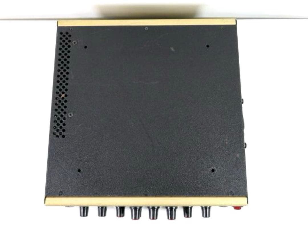 EDEN エデン The Traveler 400 ベース ヘッドアンプ