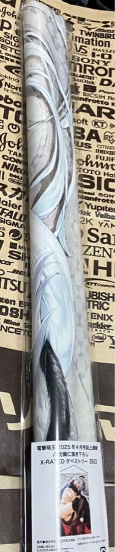 ωstar 八宝備仁 B2タペストリー