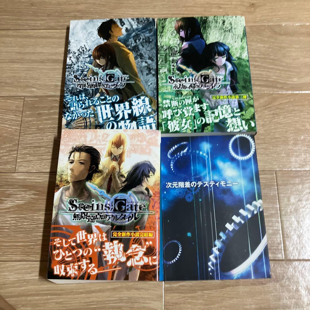 かぼちゃ様　Steins;Gate 小説まとめ売り