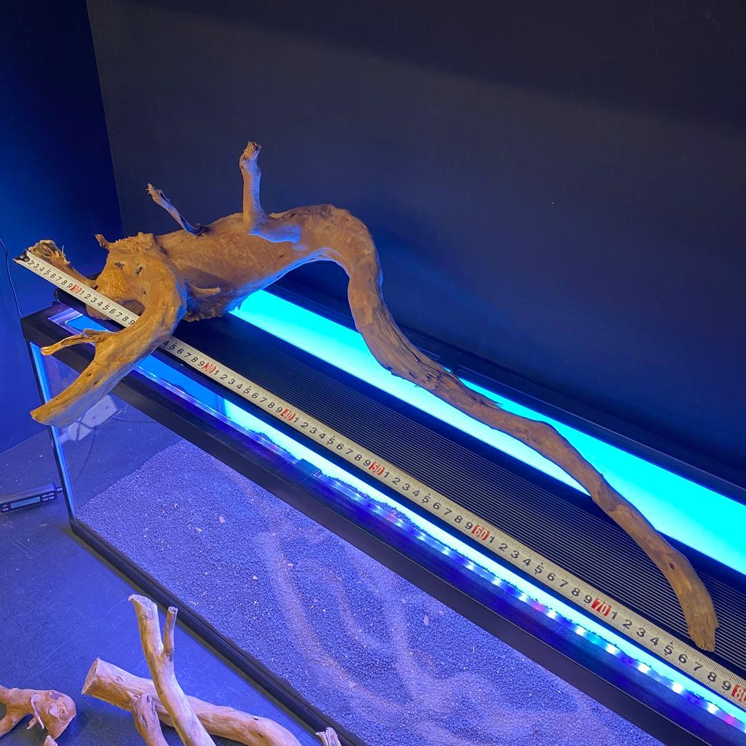 MDW-6678 ブランチウッドレイアウトセット　90cm水槽用流木　枝流木