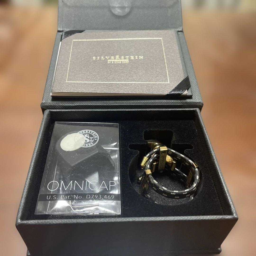 シルバースタインQuattro GOLD(アルトサックス・クラリネット)