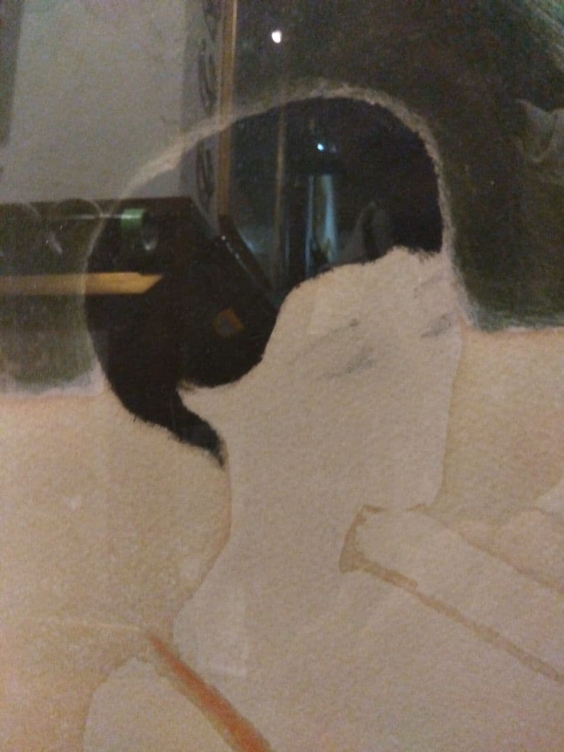 ブラジリエ　額装リトグラフ