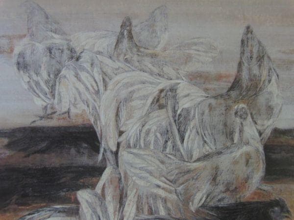松井和弘、【群鶏（あさ図）】、希少な額装用画集より、状態良好、新品額装付