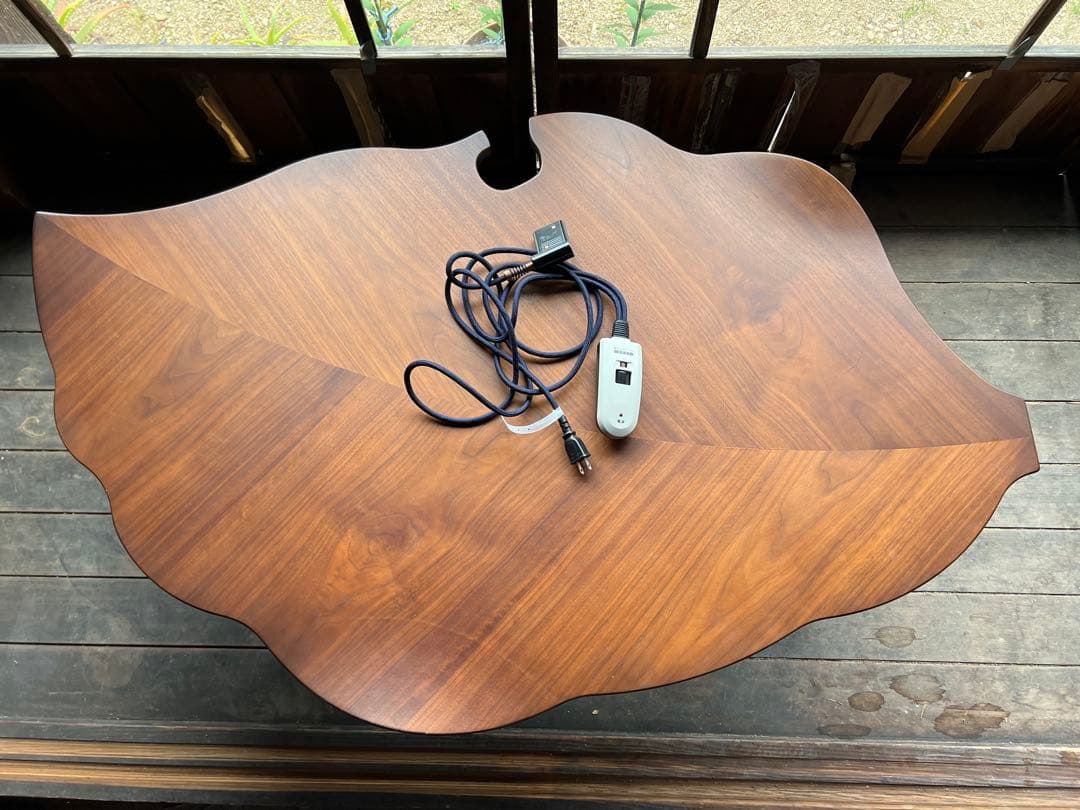 モンステラ　テーブル　葉っぱ　ブラウン