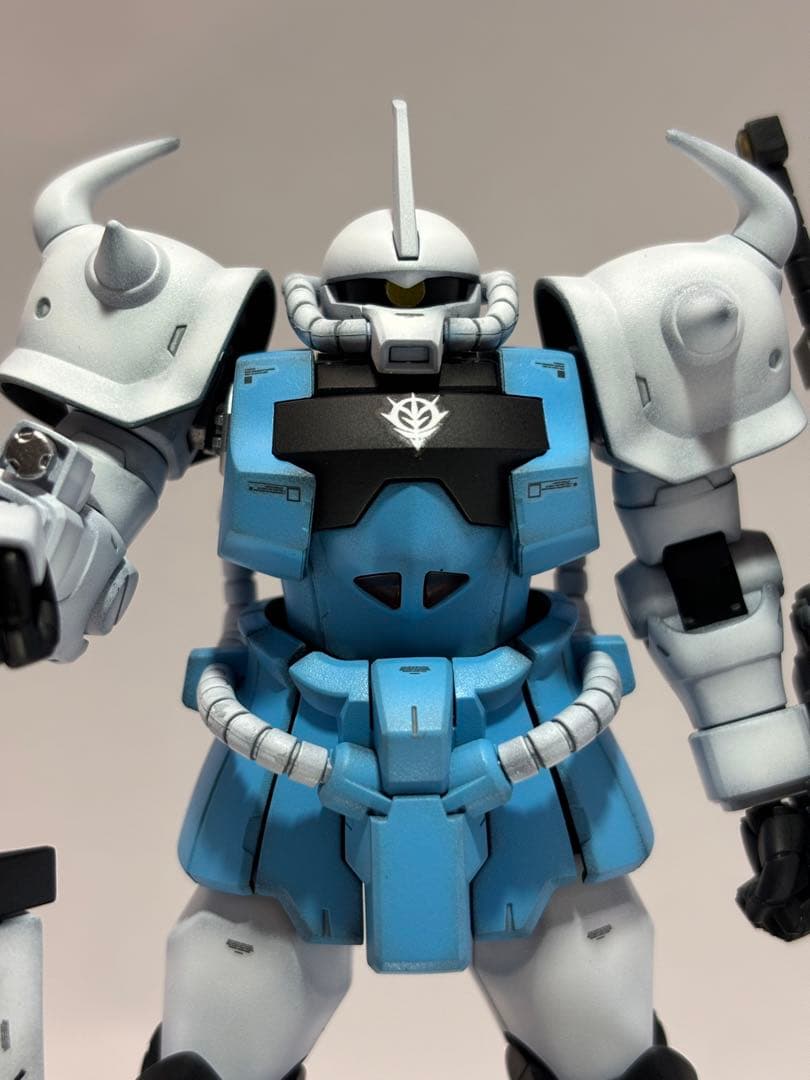 HG グフカスタム(ヴァイスローゼ)塗装完成品