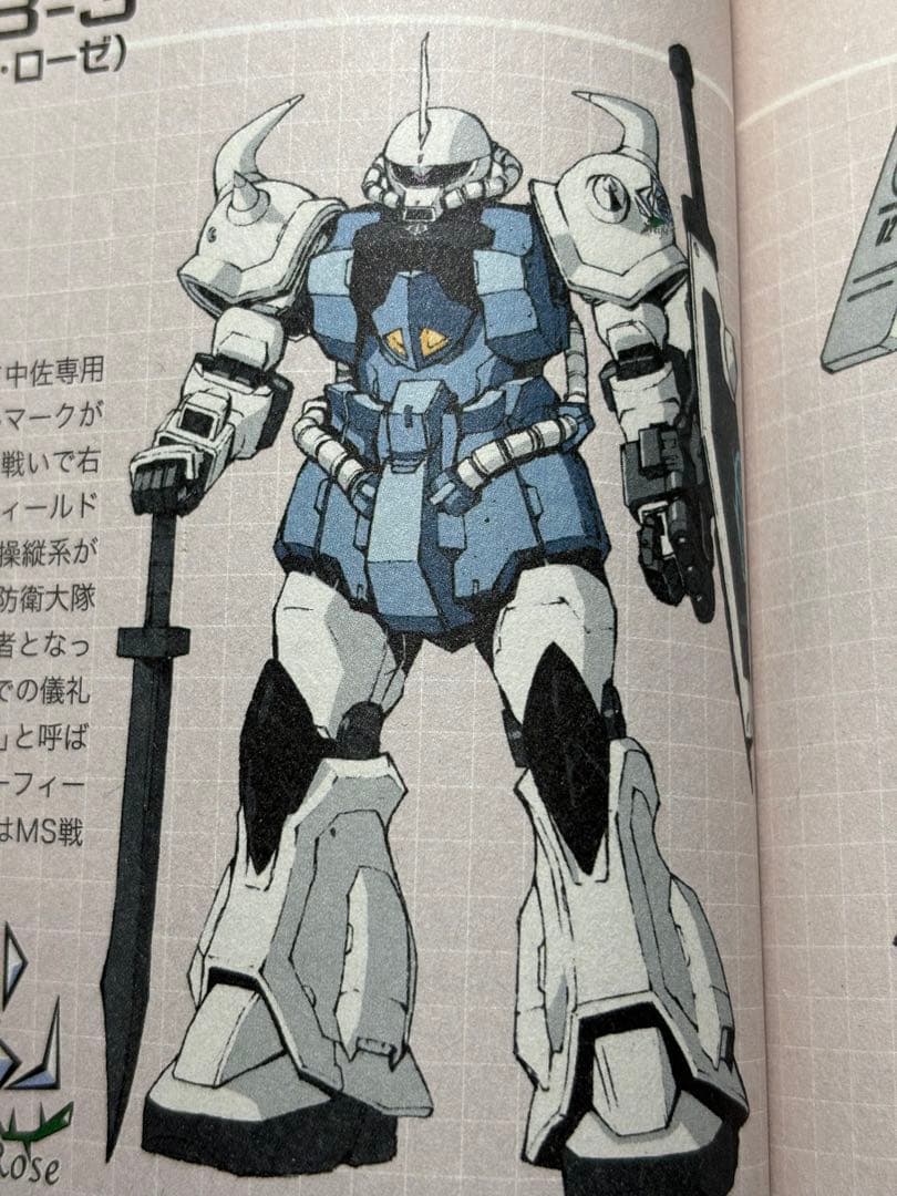 HG グフカスタム(ヴァイスローゼ)塗装完成品