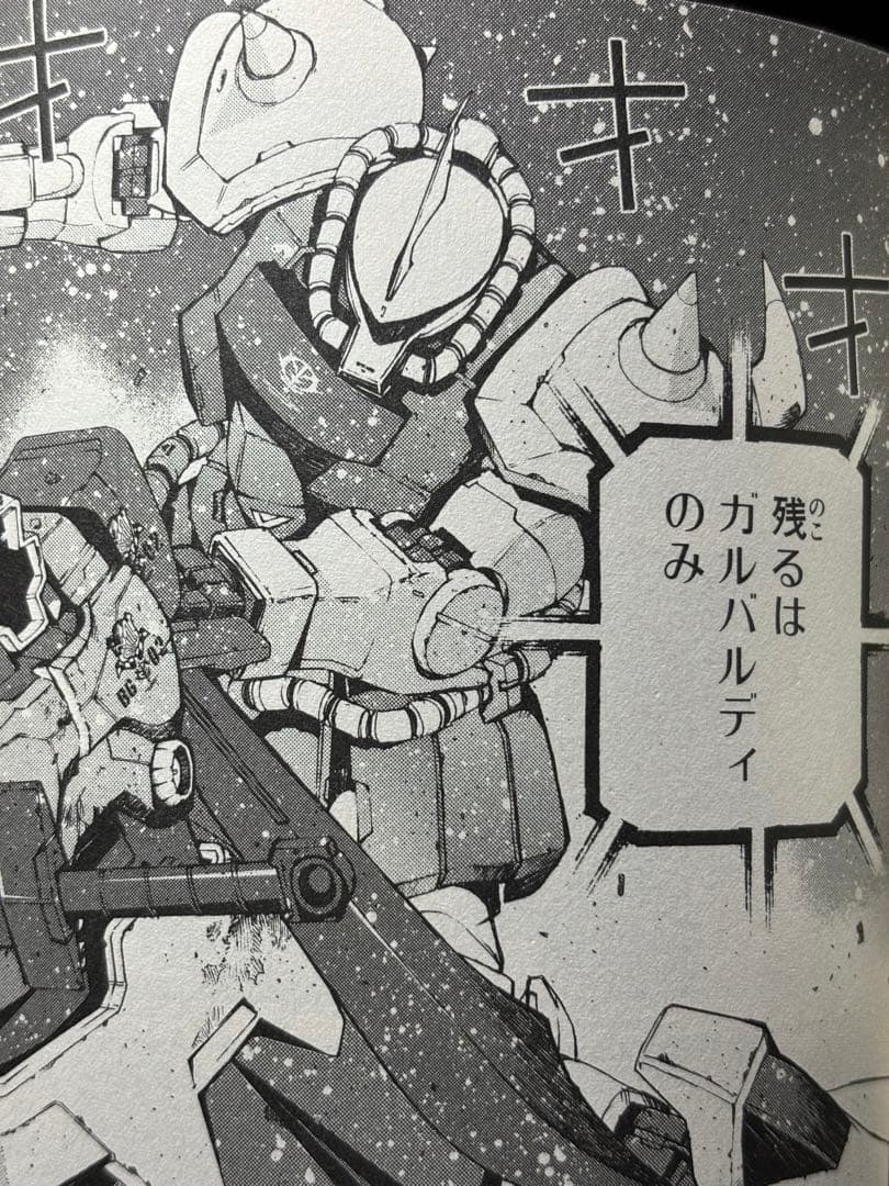 HG グフカスタム(ヴァイスローゼ)塗装完成品