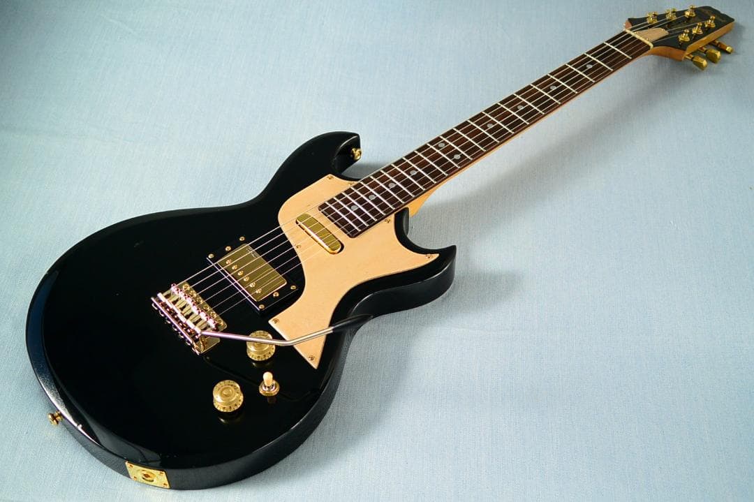 Aria Pro II CS-350T ピックアップ増設 バーズアイピックガード