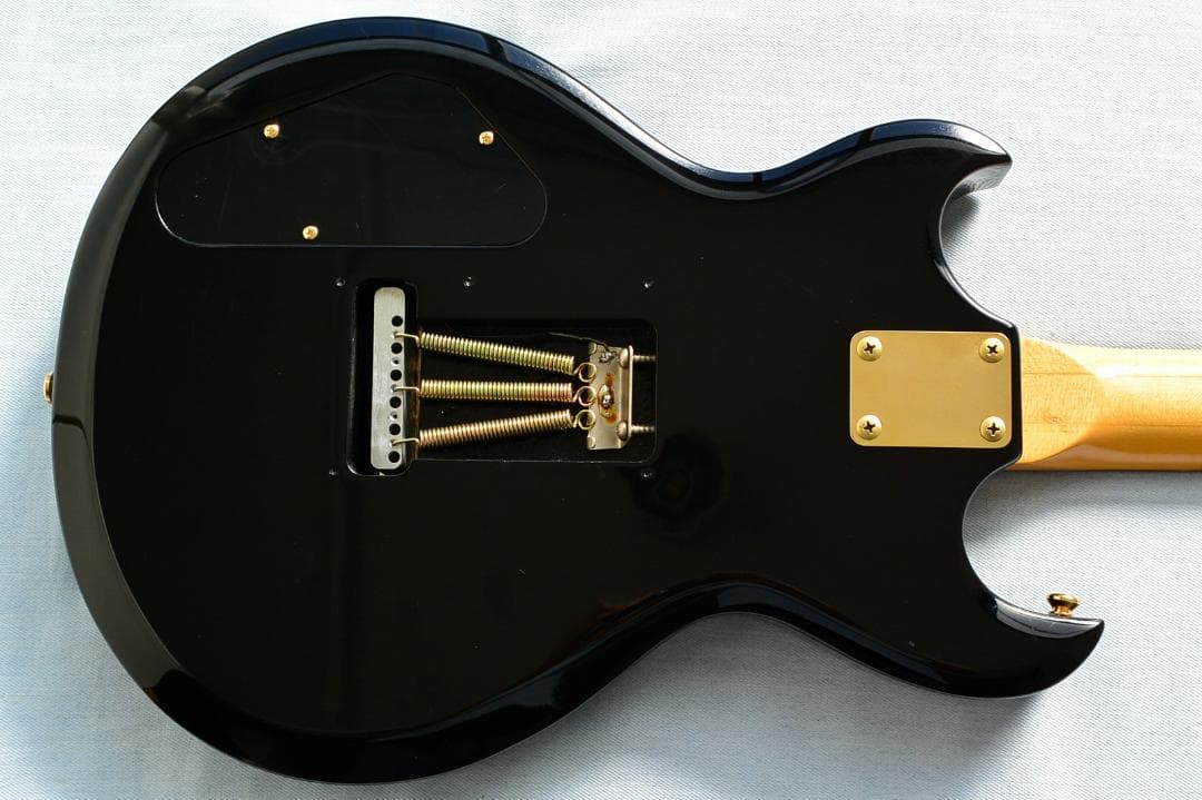 Aria Pro II CS-350T ピックアップ増設 バーズアイピックガード