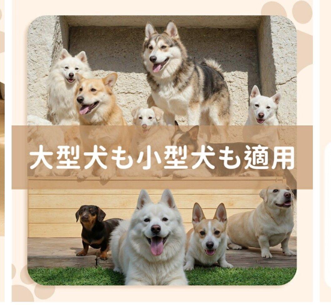 犬ケージ