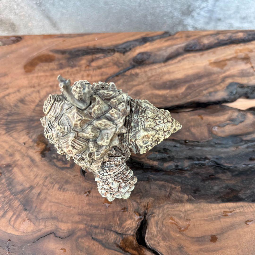 亀のフィギュア 樹脂製手作り置物 森の精霊インテリア