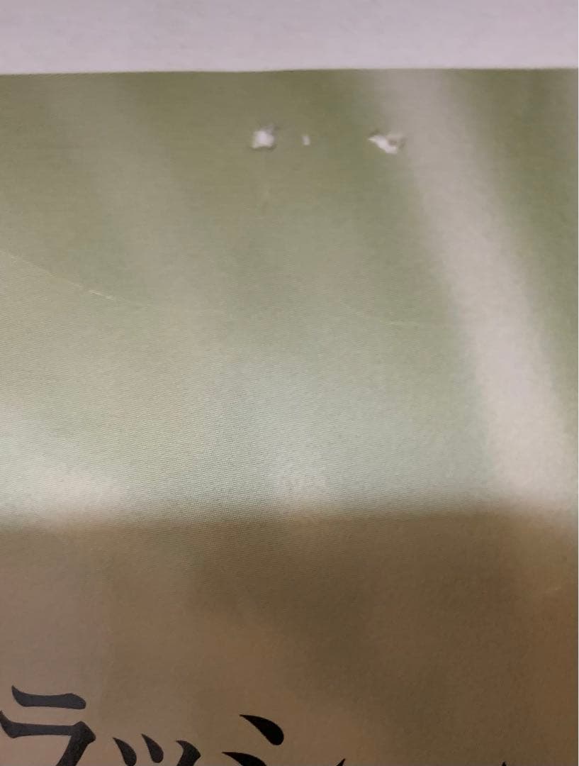 激レア／非売品／資生堂マキアージュポスター／モデル　蛯原　友里