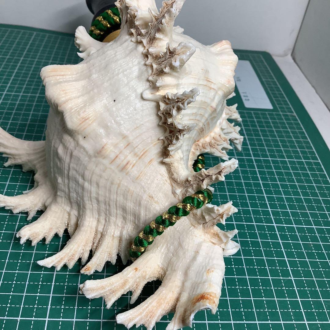 ヤフメリ15・テングガイ・法螺貝・山伏・修験者・金峯山・羽黒山・戦国武将・縁起物