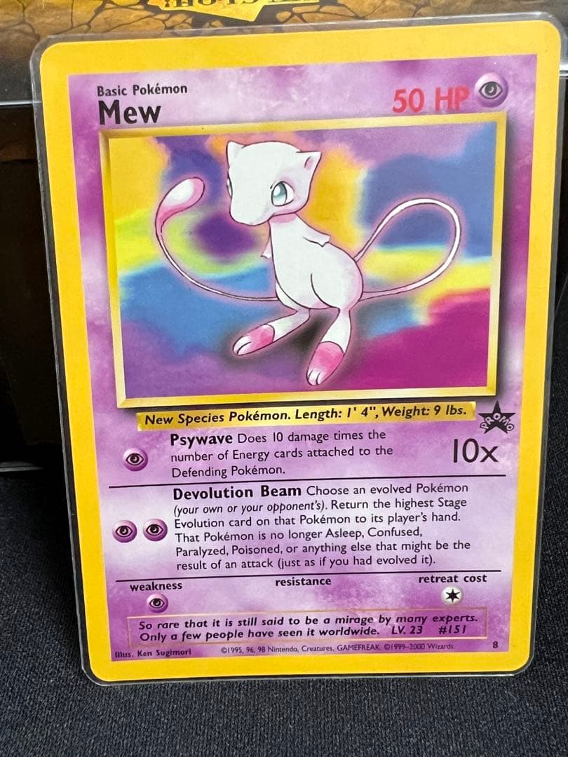 ブラッキー　エーフィ　グレート　英語　ポケカまとめ売り