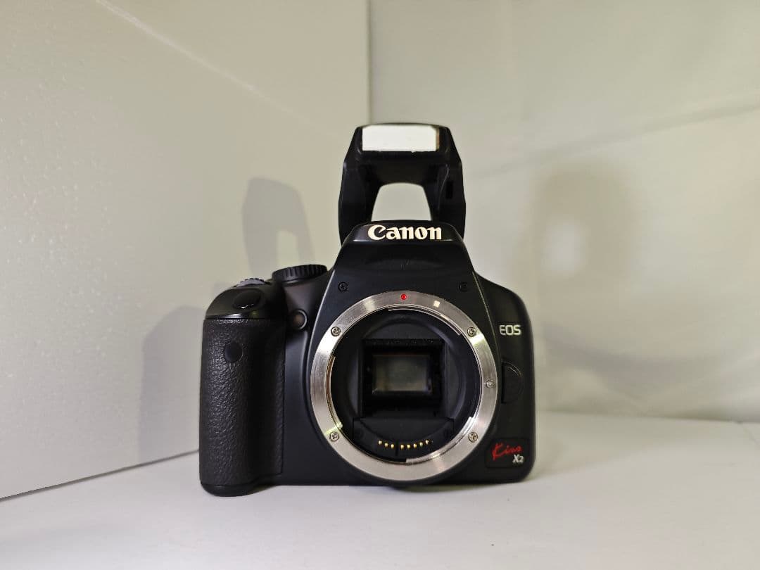 Canon EOS Kiss X2✨入門セット✨すぐに使える✨カメラデビューに✨