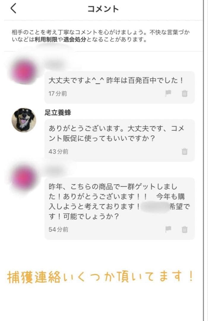 ミツバチ誘引剤 4個セット ミツバチ誘引ルアー 養蜂を始める方に