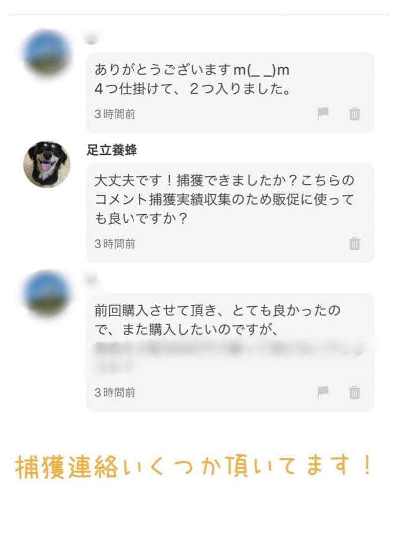 ミツバチ誘引剤 4個セット ミツバチ誘引ルアー 養蜂を始める方に