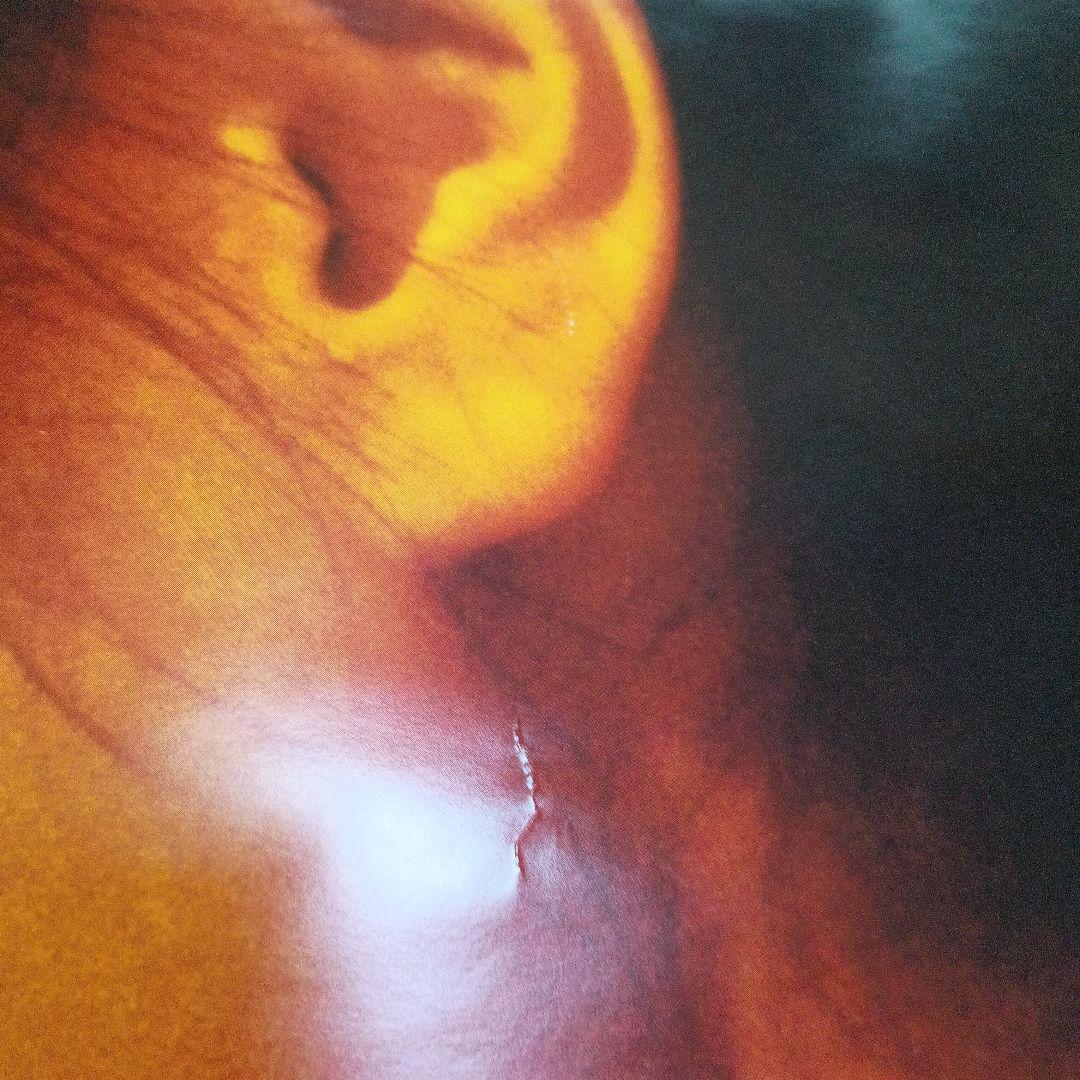 ZARD 20th YEAR ポスター 110