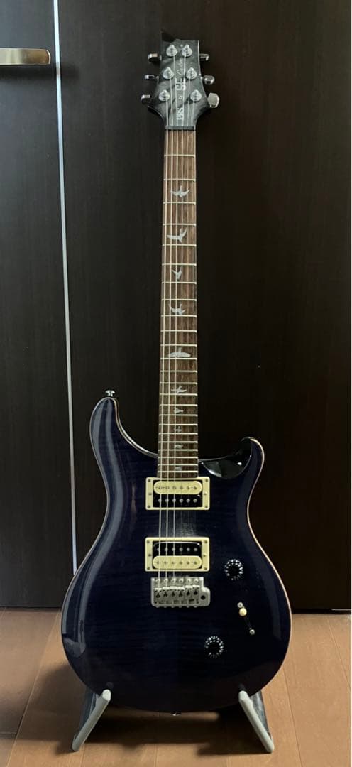 かぴ丸 Paul Reed Smith PRS SE
