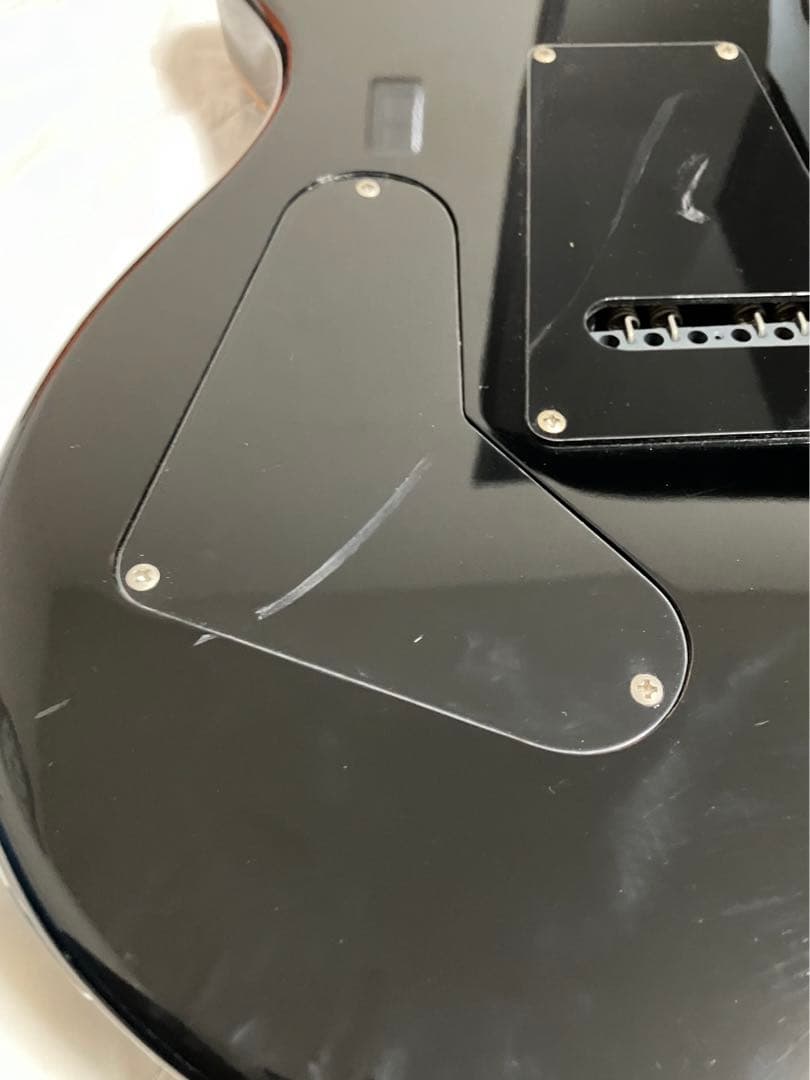 かぴ丸 Paul Reed Smith PRS SE